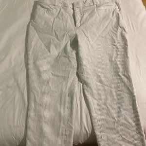 Banana Republic Curve Pants